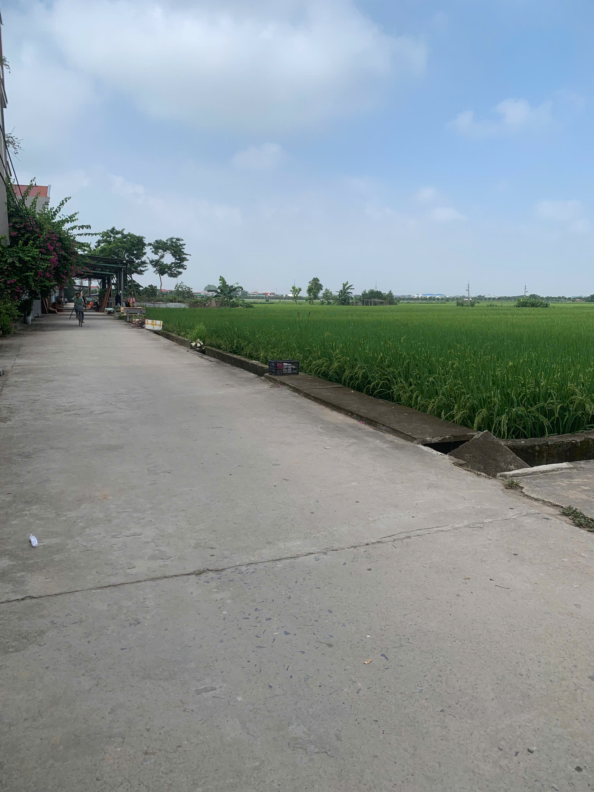 Bán đất thổ cư